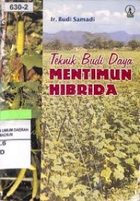 Teknik Budi Daya Mentimun Hibrida